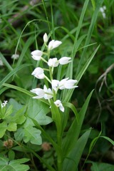 Killikus&reg; Fotographie